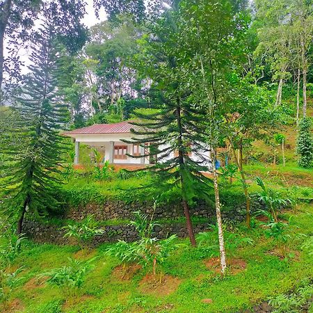 Anivilla Holiday Home Kunjithanny Anachal Extérieur photo