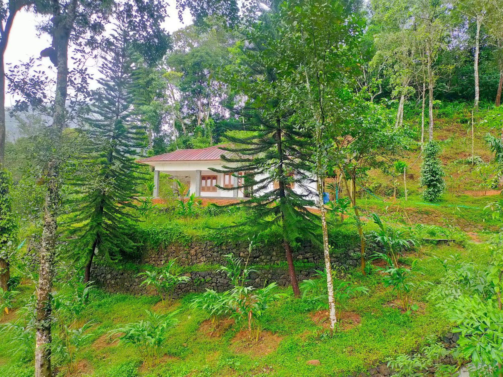 Anivilla Holiday Home Kunjithanny Anachal Extérieur photo
