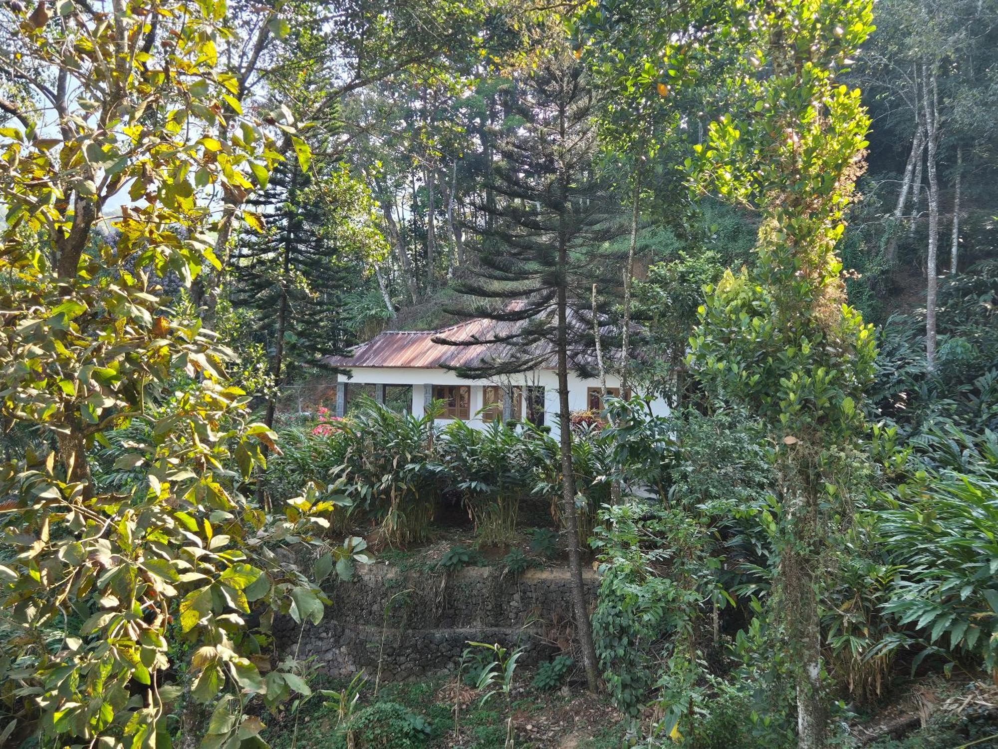 Anivilla Holiday Home Kunjithanny Anachal Extérieur photo